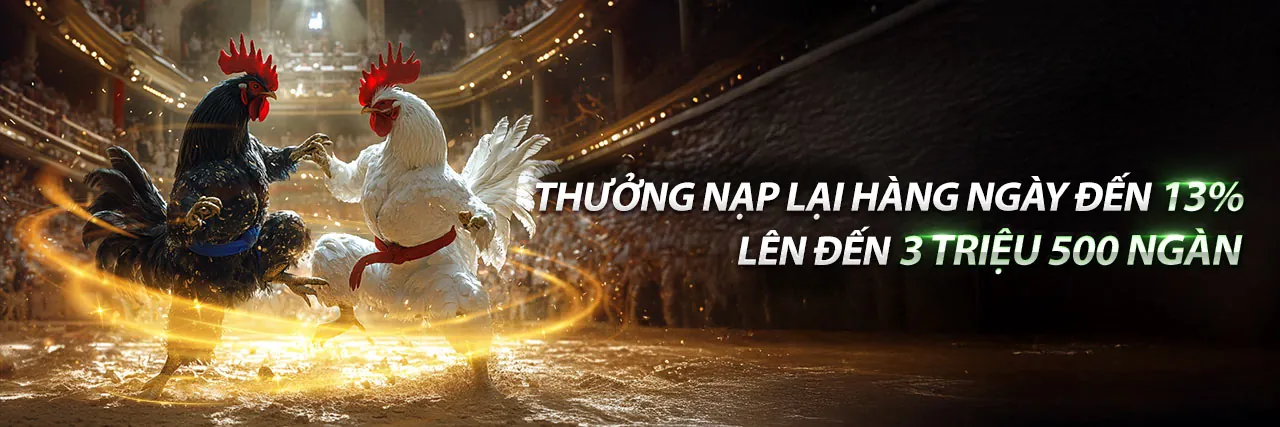 Hình ảnh tổng quan về bj6606, nền tảng giải trí trực tuyến hàng đầu